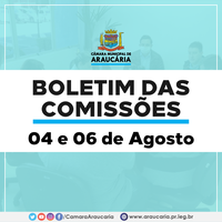 Boletim das Comissões – Reuniões dos dias 04  e 06 de agosto