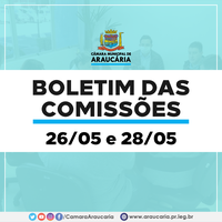 Boletim das Comissões – Saiba como foram as reuniões do dia 26 e 28 de maio