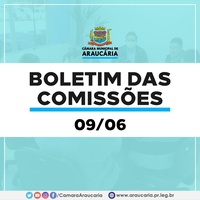 Boletim das Comissões – Saibam quais projetos foram discutidos na última terça