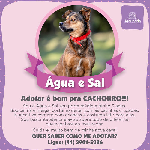 Agua e Sal.png