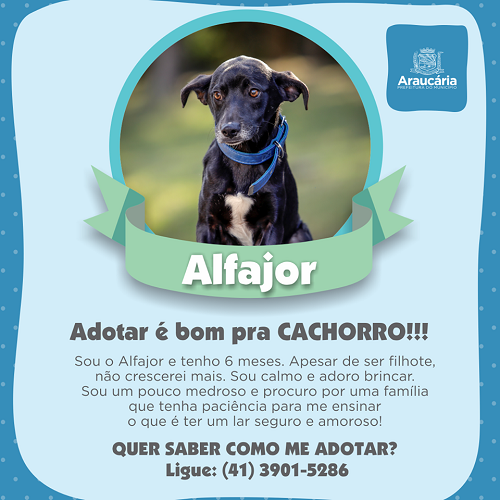 Alfajor.png