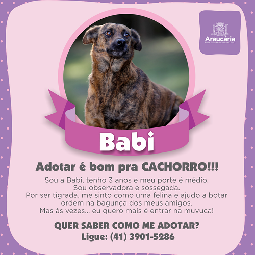 Babi.png