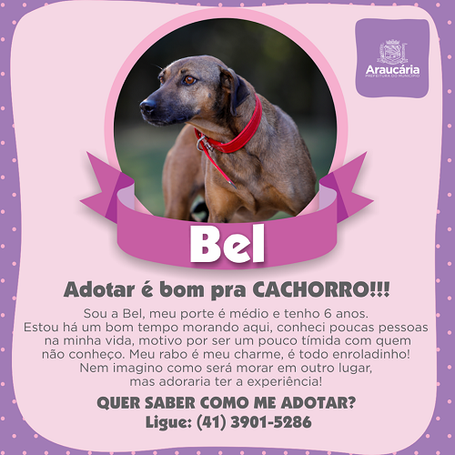 Bel.png