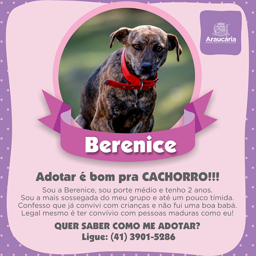 Berenice.png