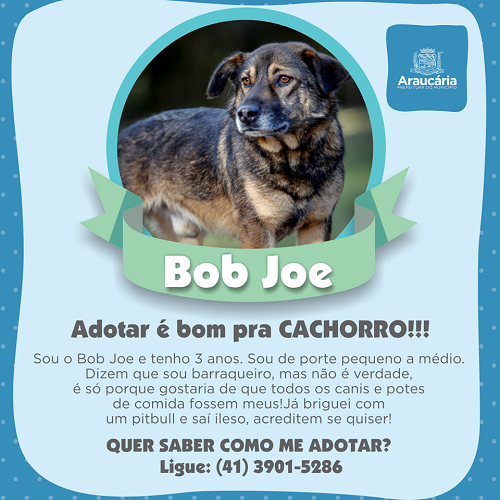 Bob Joe.png