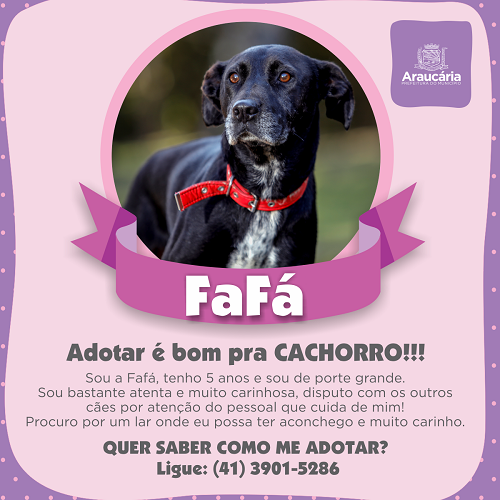 Fafá.png