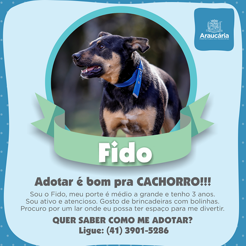 Fido.png