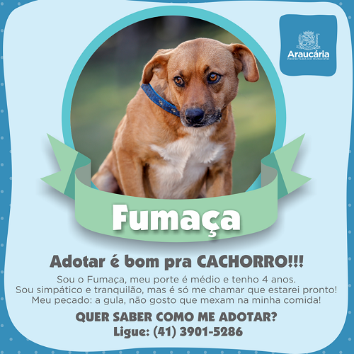 Fumaça.png