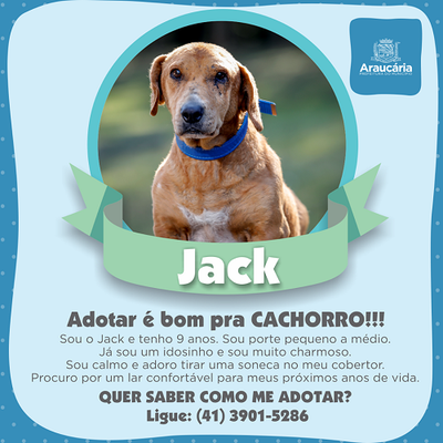 Jack.png