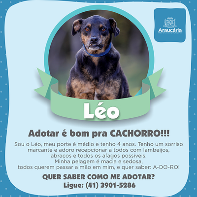 Léo.png