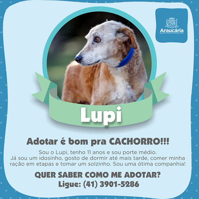 Lupi.png