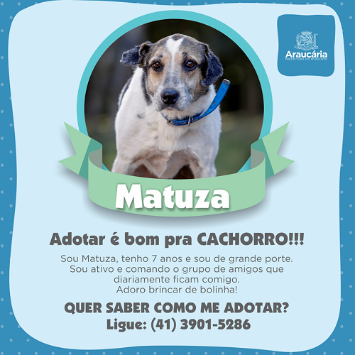 Matuza.png