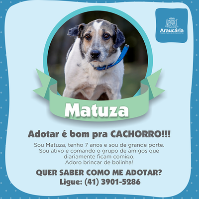 Matuza.png