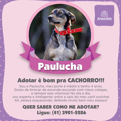 Paulucha.png
