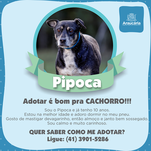 Pipoca.png