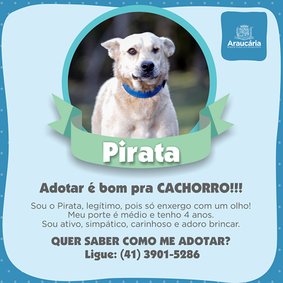 Pirata.png