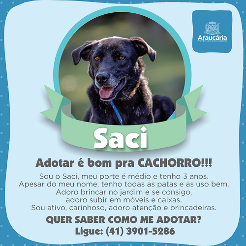 Saci.png