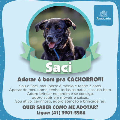 Saci.png
