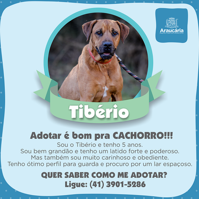 Tibério.png