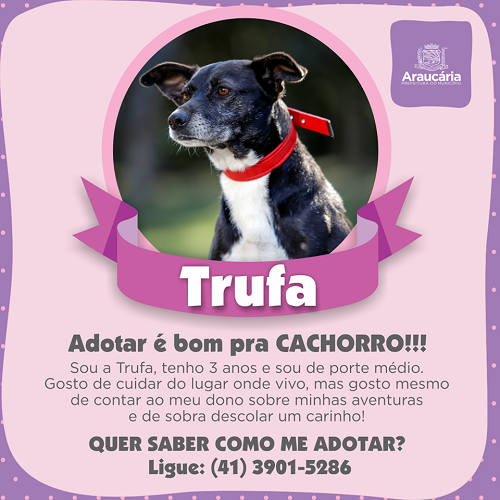 Truffa.png