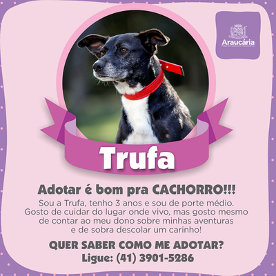 Truffa.png