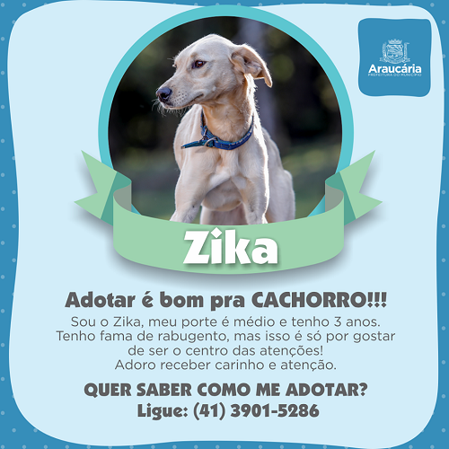 Zikka.png
