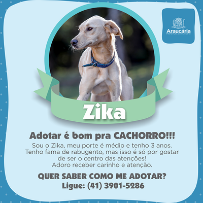 Zikka.png