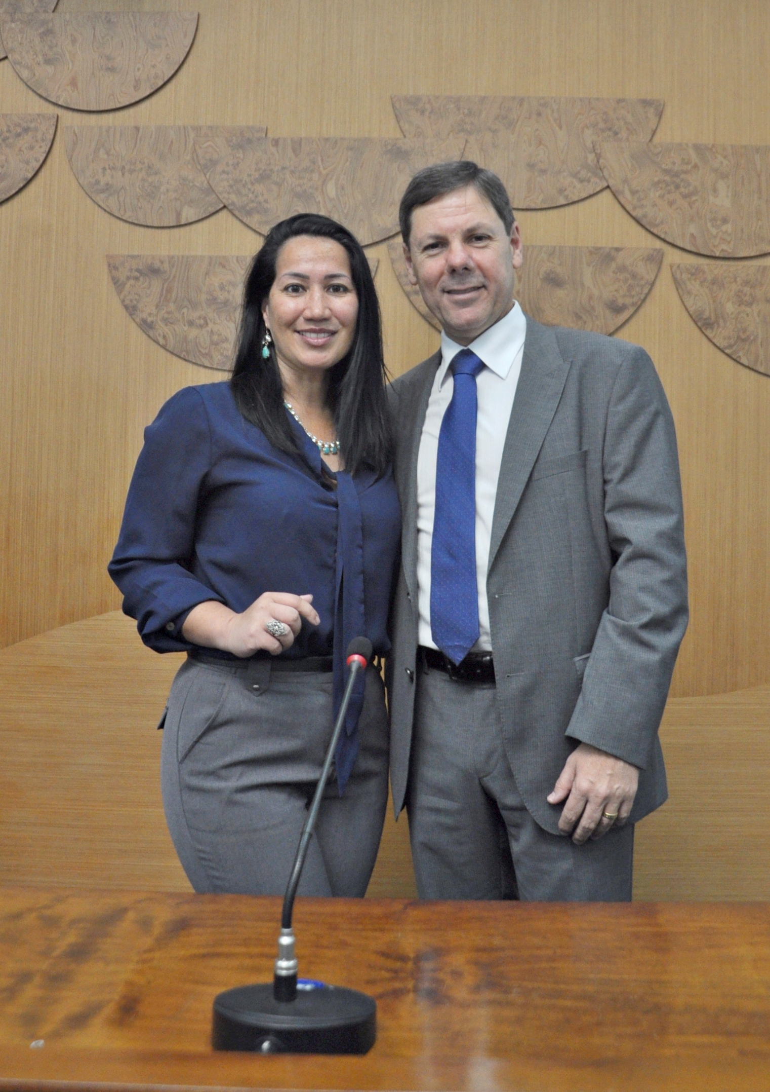 Parlamento Jovem 2017