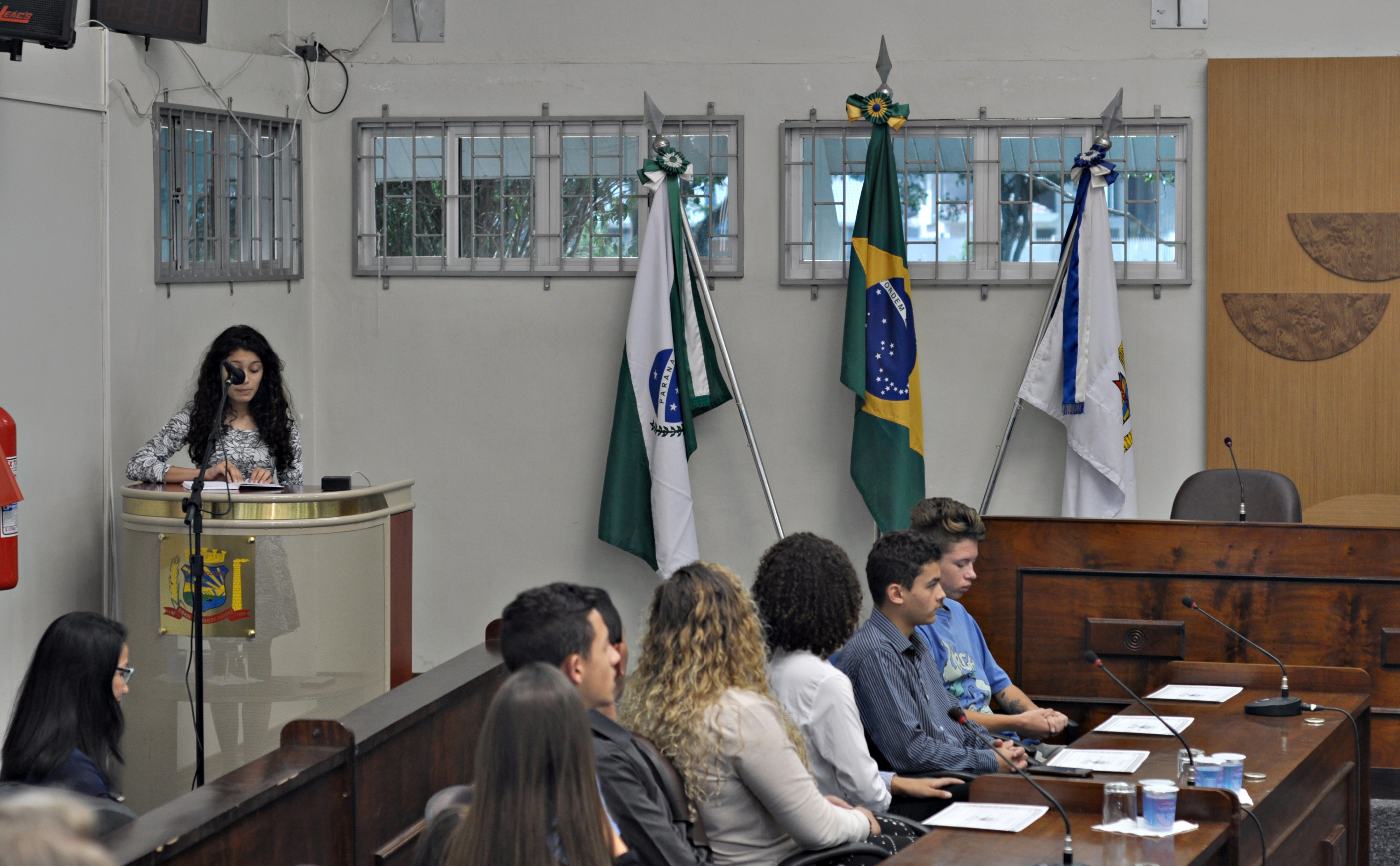 Parlamento Jovem 2017