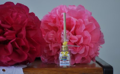 Homenagem Dia das Mães na Câmara Municipal.jpg