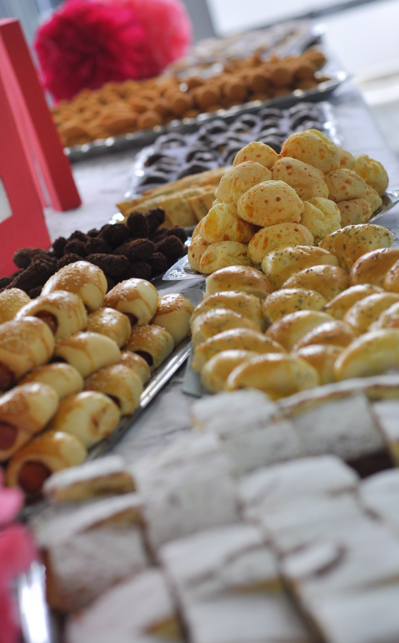 Homenagem Dia das Mães na Câmara Municipal.jpg