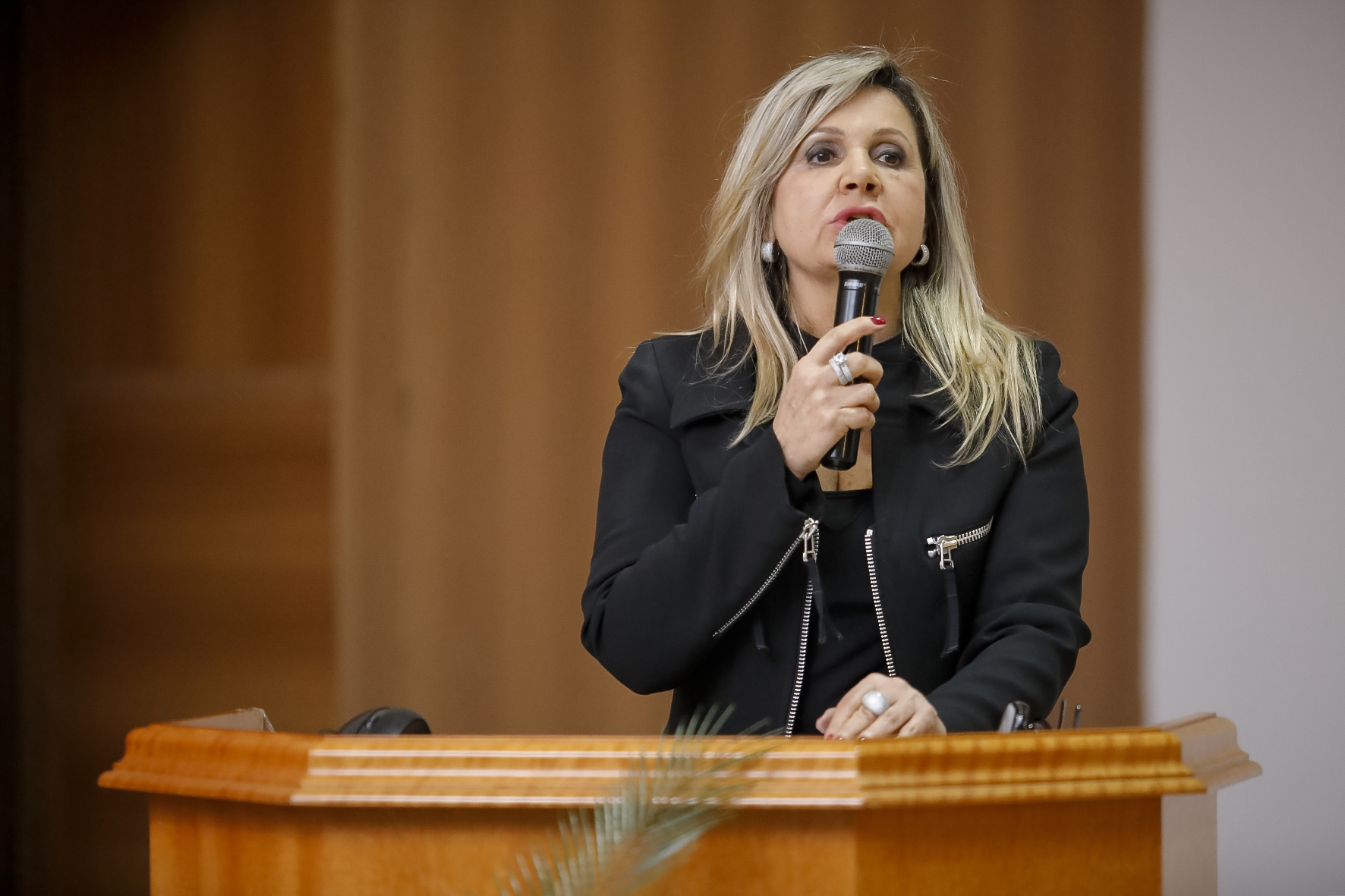 Lançamento PRODEC Araucária