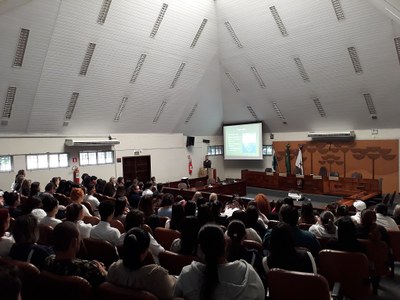 Saúde Mental e Emocional