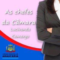 Série Chefes da Câmara: Lucivanda Camargo - Chefe da Divisão Administrativa