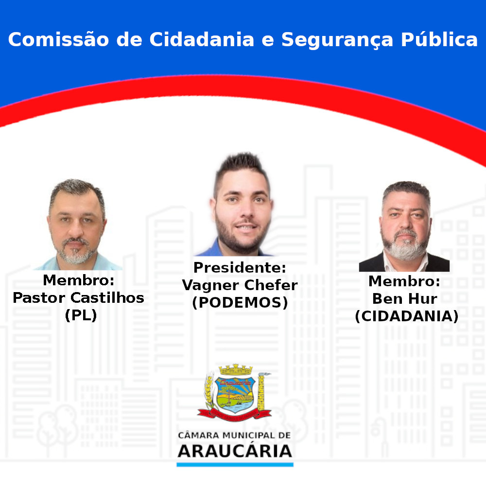 Série por dentro das Comissões Permanentes: Comissão de Cidadania e Segurança Pública